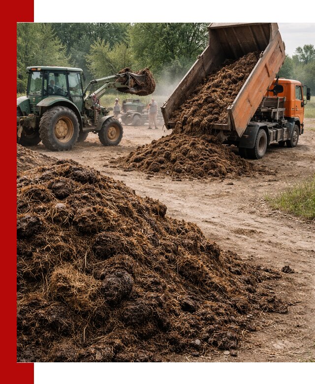 Доставка навоза самосвалами в октябрьском для сельхозпотребностей
